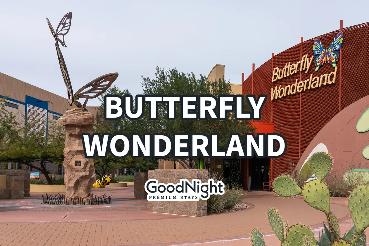 The exterior of Butterfly Wonderland, featuring its recognizable butterfly sculpture and sign, surrounded by desert landscaping including cacti. The setting is bright and welcoming, perfect for a family outing or educational experience.