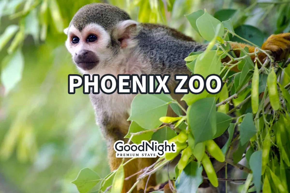 A lively exterior scene with a squirrel monkey perched in green foliage, inviting families and kids to observe wildlife up close. The photo captures a moment of curiosity and excitement, perfect for family memories.